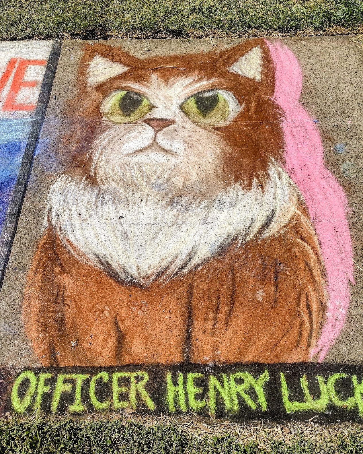 Officer Henry Cat