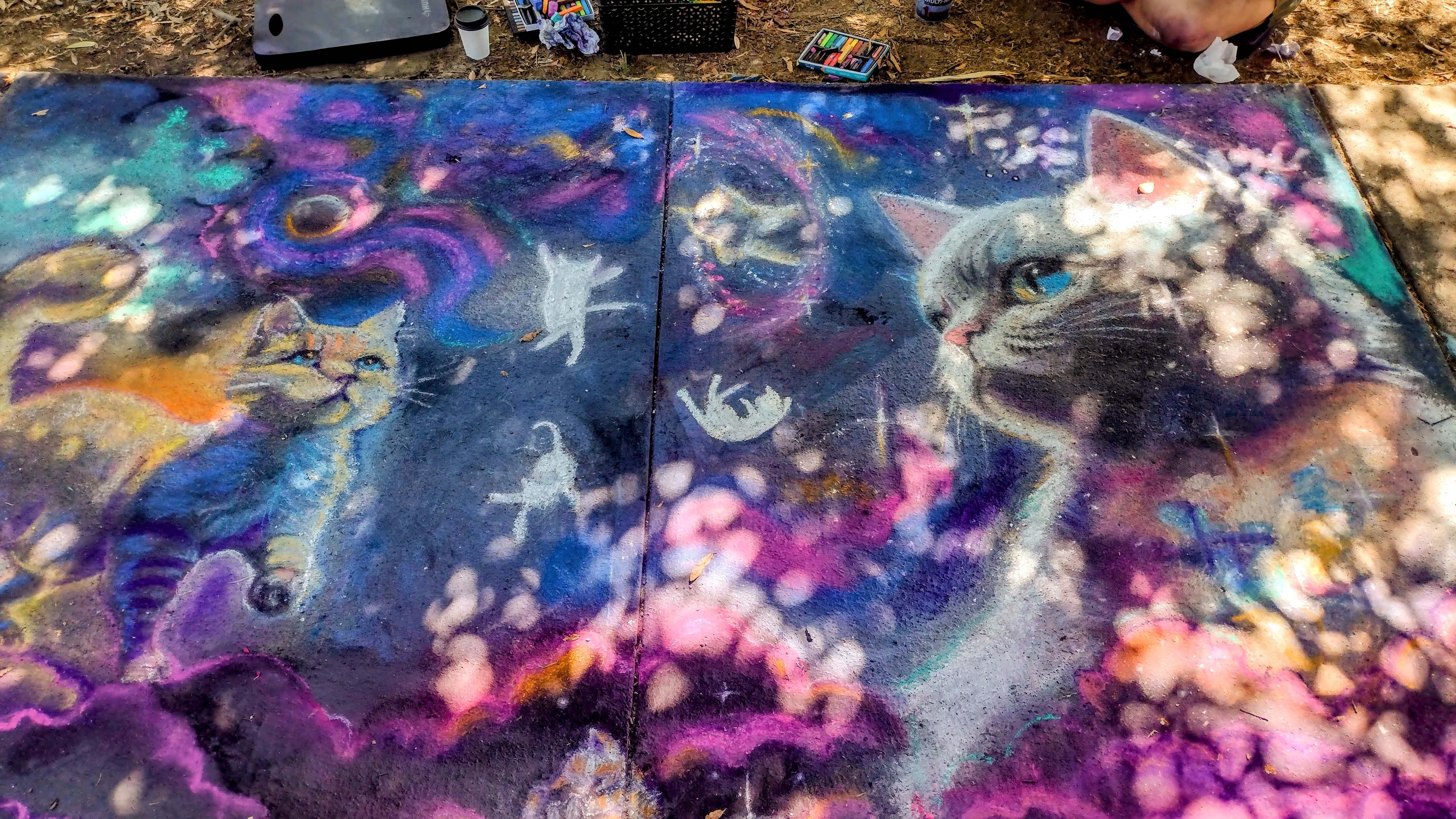 galaxy cats